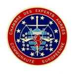Expert immobilier Cabinet d'Expertise en Pathologie du bois