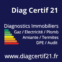 Expert immobilier Diag Certif 21 