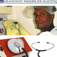 Diagnostic immobilier Martinique Expert immobilier à Fort-de-France